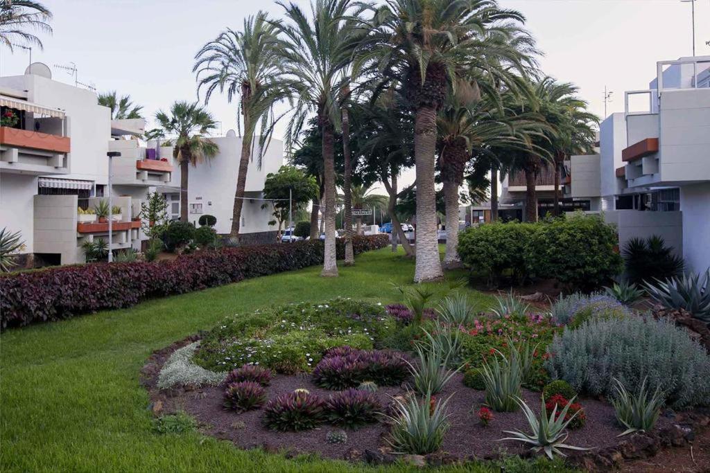 Apartament Frontera-Primavera Apartment Costa Del Silencio Exterior foto